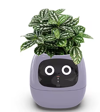Smart Planter with AI