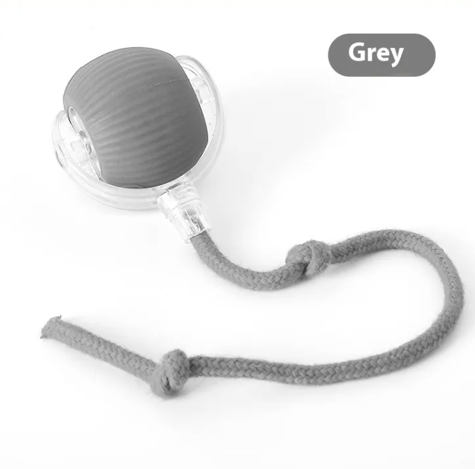 Rolling Fun Cat Toy Ball